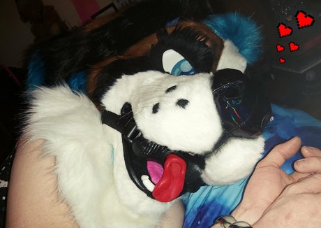 lexipuppy leaked onlyfans sex