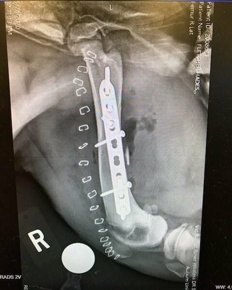 thesarahbnkx onlyfans sexy