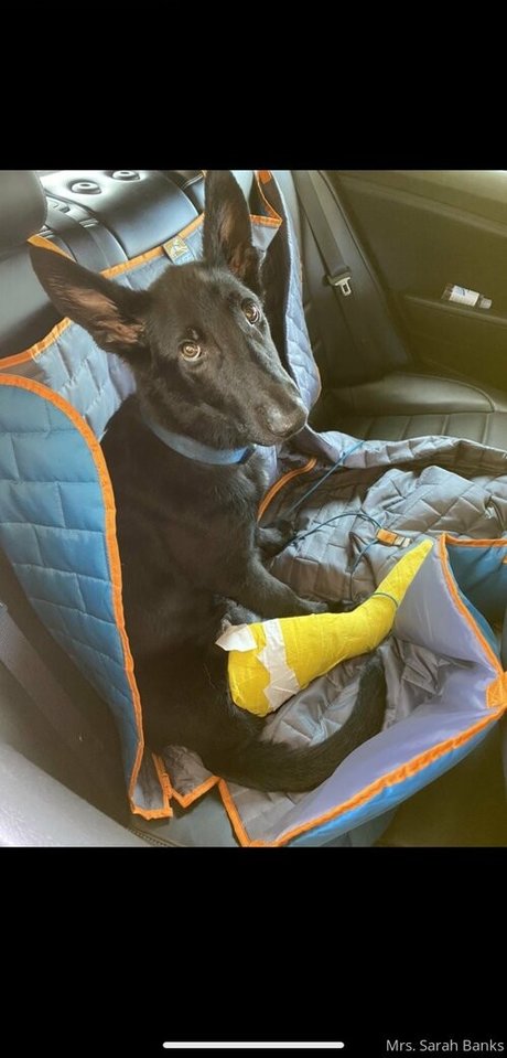 thesarahbnkx onlyfans leakes