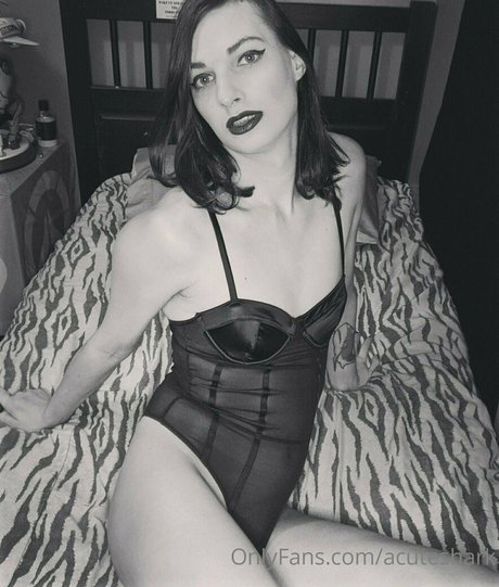 acuteshark only fans sex