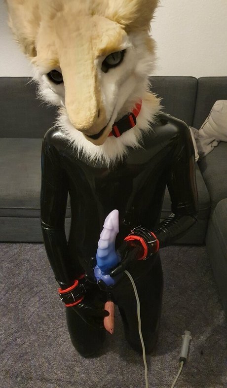 sergnderg onlyfans leaked porn