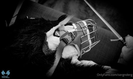 sergnderg onlyfans pics nude