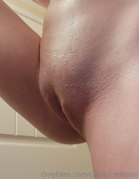 carnalcambion onlyfans nsfw