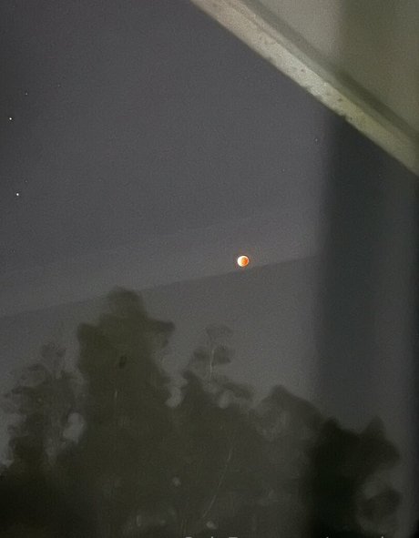 pzz drey onlyfans public photos