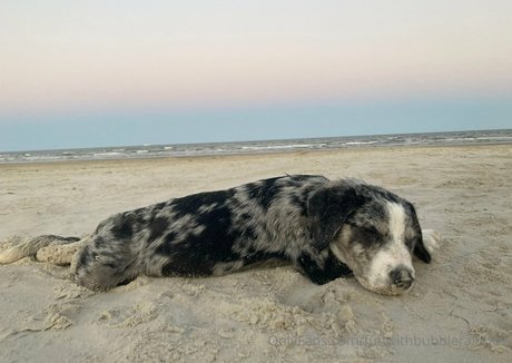 funwithbubblerainbow onlyfans porn