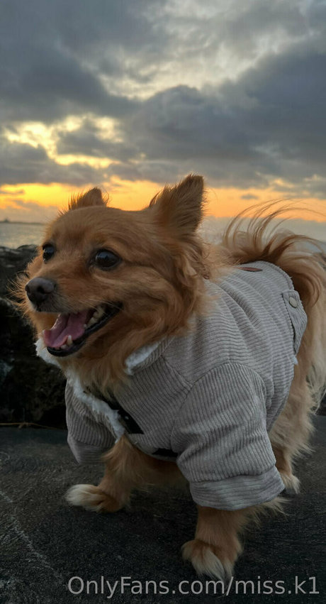 miss k1 onlyfans leaked free