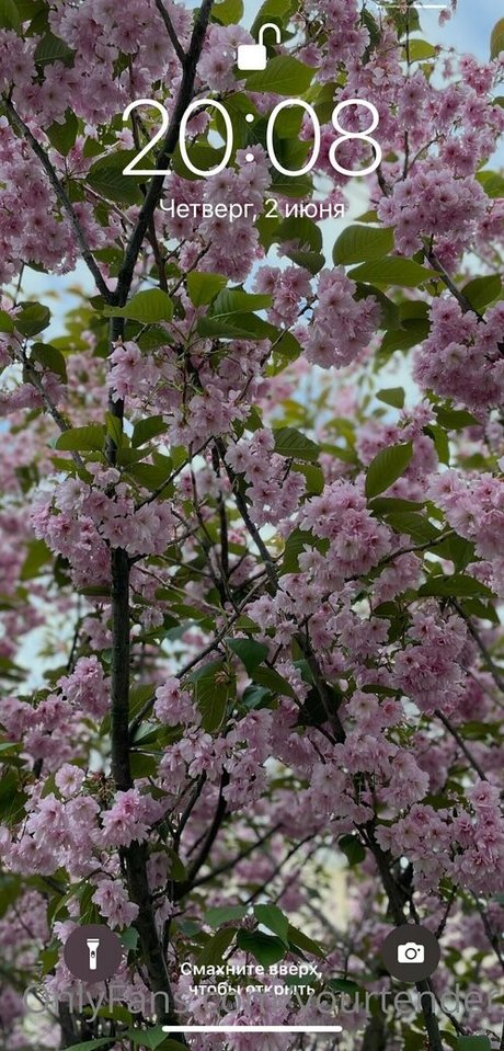 tenderalise only fans pic