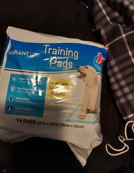 kinky907 onlyfans leak