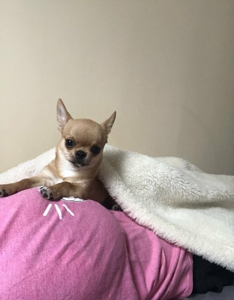 Pchan 666 onlyfans leak sex