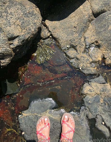 xoxolovelyfeet onlyfans porn free