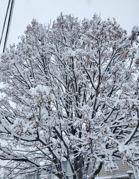 brihanna babe naked only fans