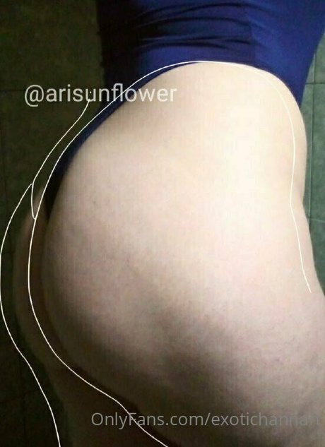 exotichannah onlyfans fuck