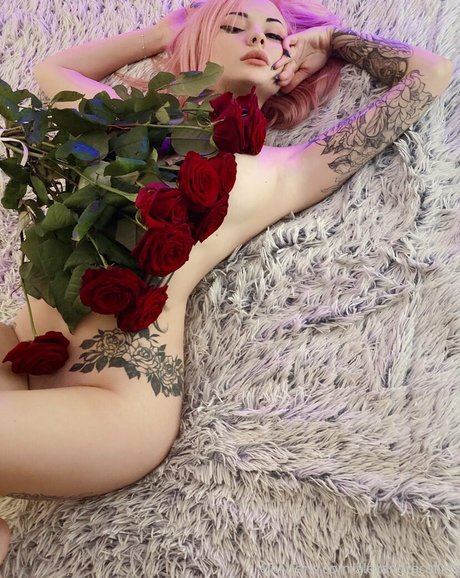 Alexx Collins Profile pic