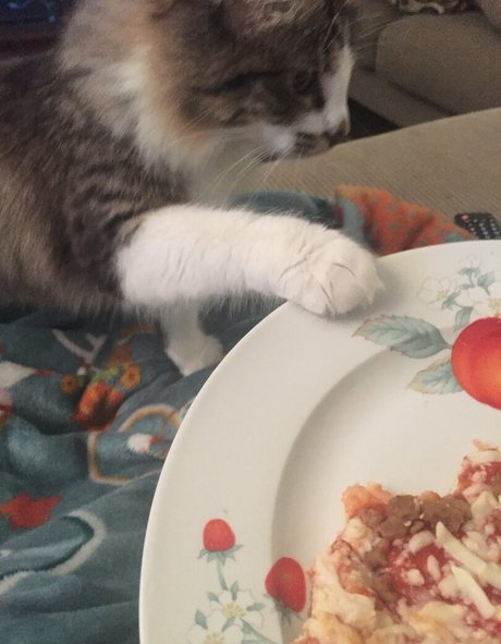 geminiscamp leaks onlyfans porn