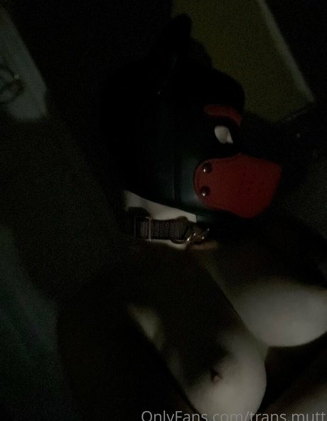 trans mutt onlyfans naked