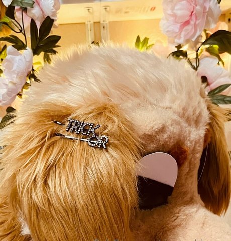 sinner shimmer onlyfans photos