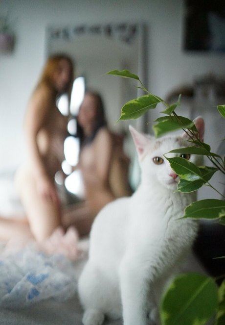 miamoar onlyfans creator