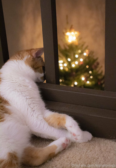 gloryhole onlyfans hd illustration