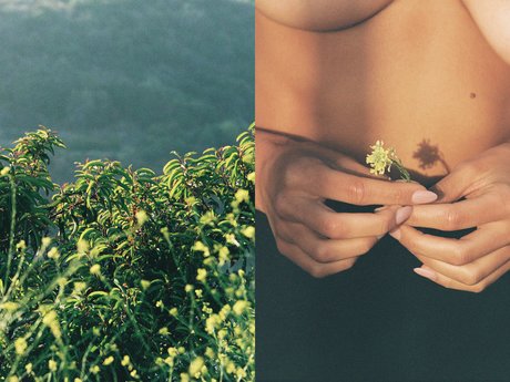 Alyssa Lynch xxx only fans