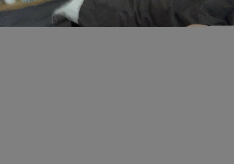 Bruiserbrogan leaked onlyfans