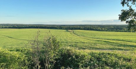 DollHole GrabFuck sextape onlyfans