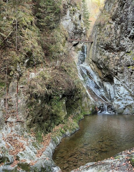 Anisyia_ onlyfans sex leaked