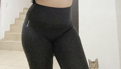 Dani Stocking onlyfans archive