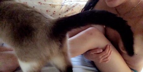 Ashley Bednarek strip onlyfans