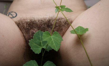 bush onlyfans free naked gallery