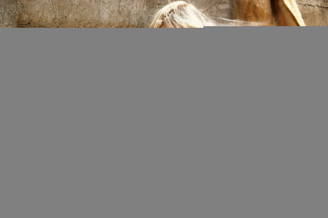 Susie Owens onlyfans