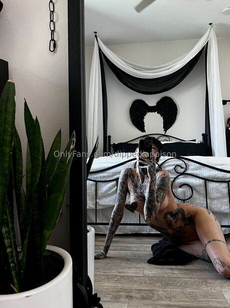 Dippedinpoison onlyfans mega