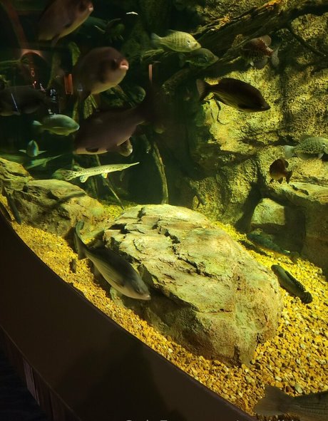 geekikitten xxx onlyfans