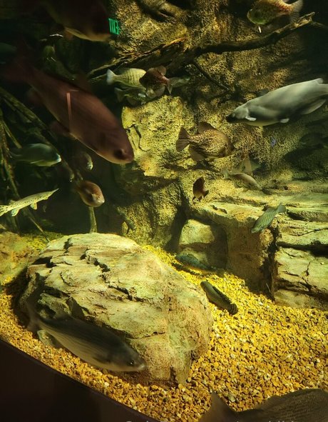 geekikitten onlyfans leaked