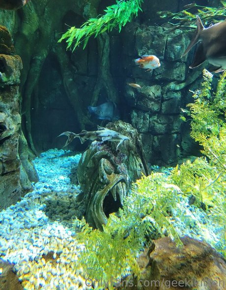 black nurse onlyfans beautiful exposure