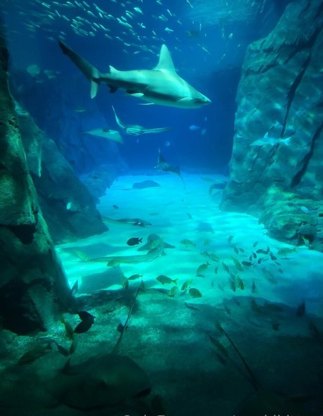 geekikitten nude onlyfans leak