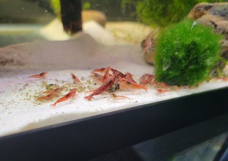 geekikitten naked onlyfans pics