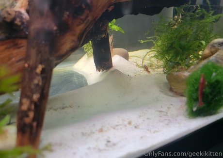 geekikitten onlyfans leaks