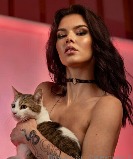 rekadora porn onlyfans leaks