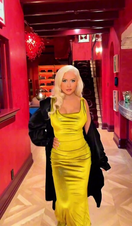 Christina Aguilera onlyfans model