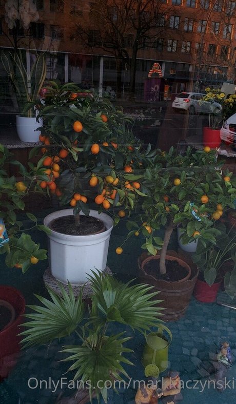 markkaczynski Profile pic