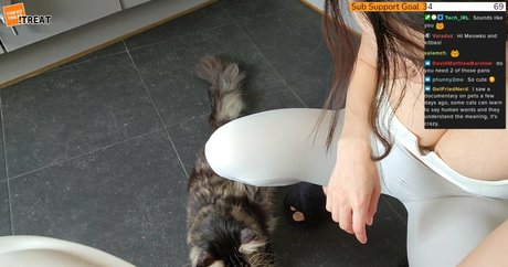 thai ladyboy onlyfans free xxx view