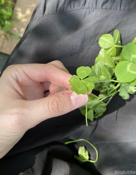 blissfulellie onlyfans porn leaked