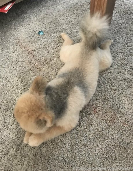 siswetlive onlyfans naked