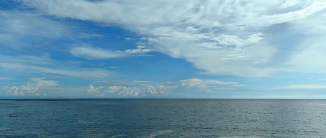 Lionrynn only fans leaks