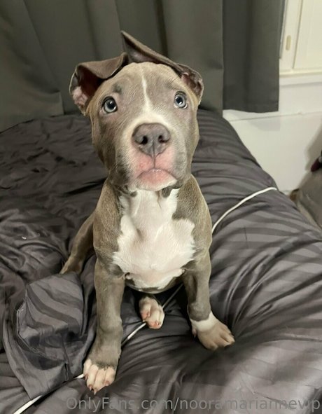 murukissa onlyfans model photos