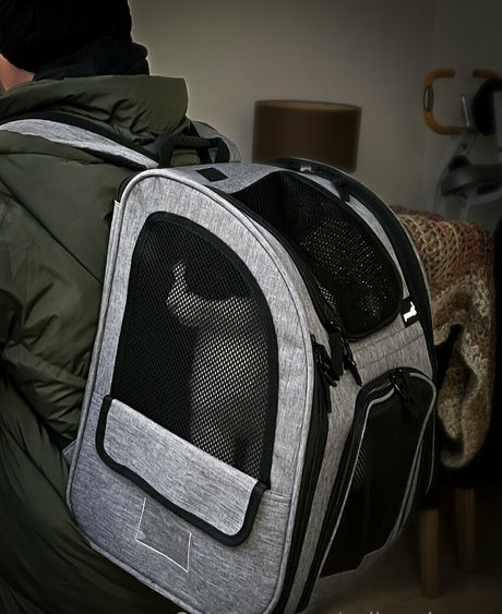 sulis minerva onlyfans sex tape