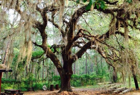 dream candy onlyfans leak new