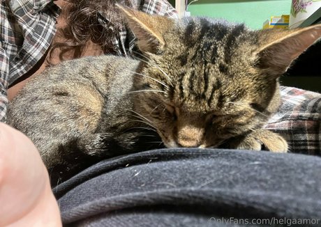 helgaamor nude on onlyfans