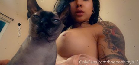 Boobookittyb13 onlyfans sextape