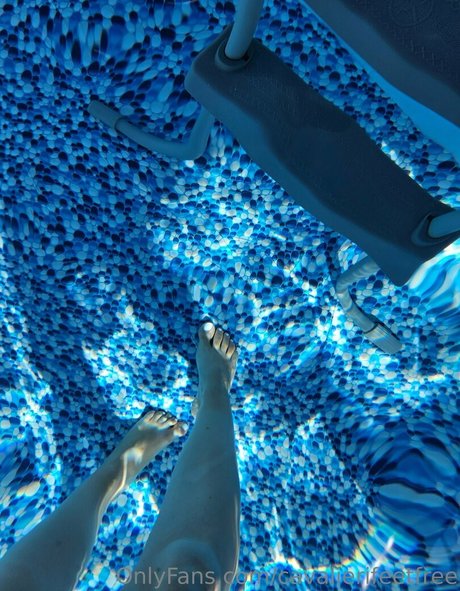 cavalierifeetfree onlyfans leaks xxx